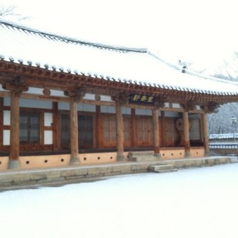 지난 겨울을 뒤로 한채..