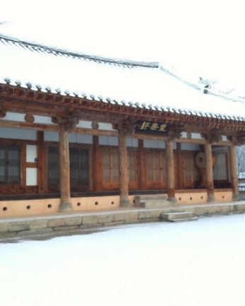 지난 겨울을 뒤로 한채..