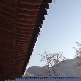 지난 겨울을 뒤로 한채..