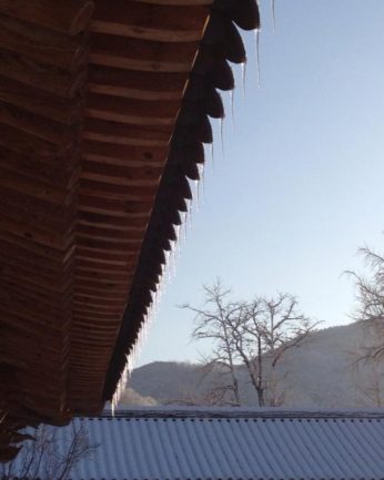 지난 겨울을 뒤로 한채..