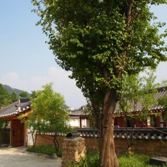 동헌이 품고있는 푸르른 여름