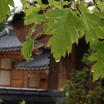 빗소리의 조화가 살아있는 전주 동헌