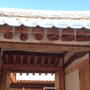 지난 겨울을 뒤로 한채..