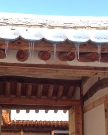 지난 겨울을 뒤로 한채..