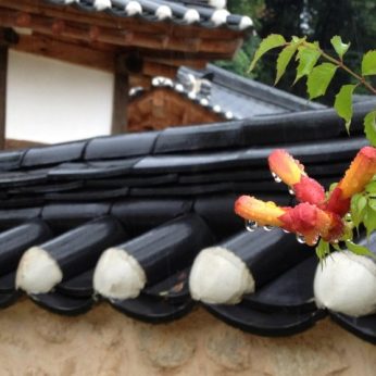 빗소리의 조화가 살아있는 전주 동헌