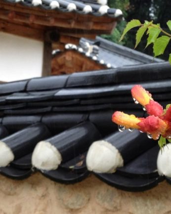 빗소리의 조화가 살아있는 전주 동헌