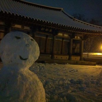 지난 겨울을 뒤로 한채..