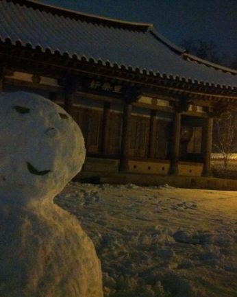 지난 겨울을 뒤로 한채..