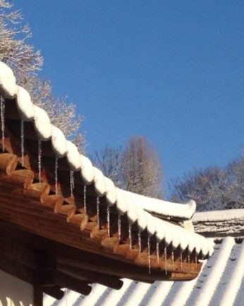 지난 겨울을 뒤로 한채..