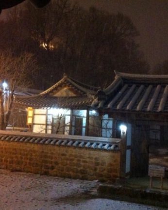 지난 겨울을 뒤로 한채..