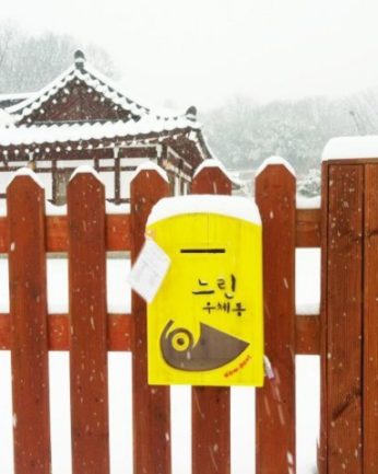 지난 겨울을 뒤로 한채..