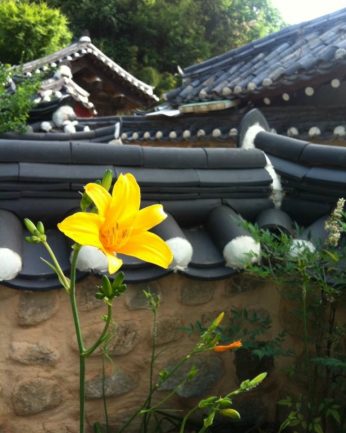 동헌이 품고있는 푸르른 여름