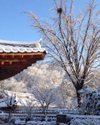 지난 겨울을 뒤로 한채..