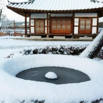 지난 겨울을 뒤로 한채..