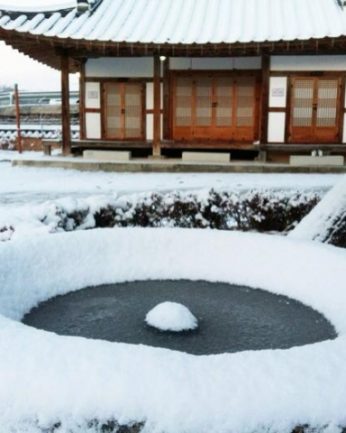 지난 겨울을 뒤로 한채..