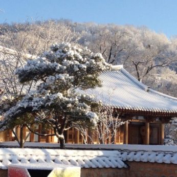 지난 겨울을 뒤로 한채..