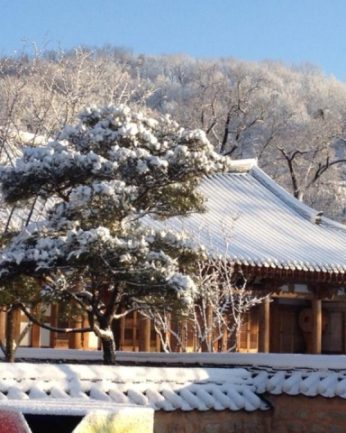 지난 겨울을 뒤로 한채..